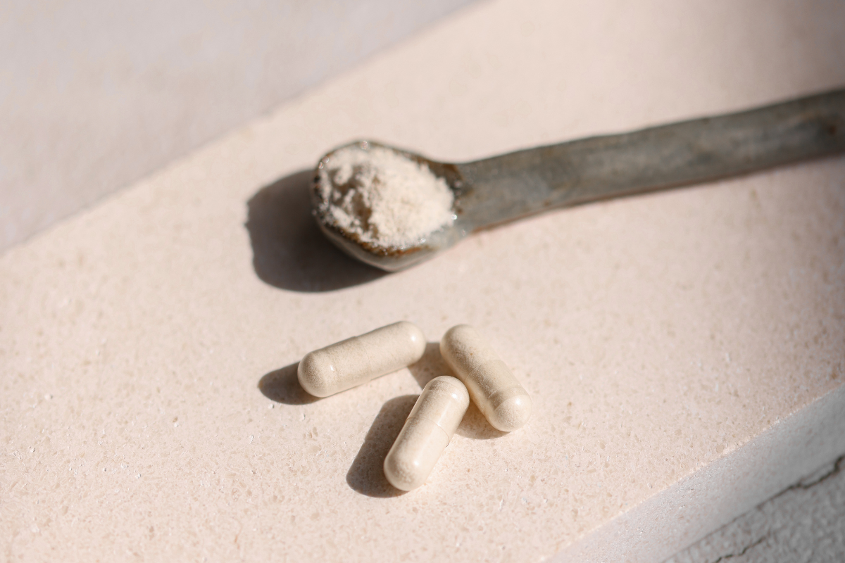 Lactobacillus Plantarum: Exploring the Benefits of This Bacteria